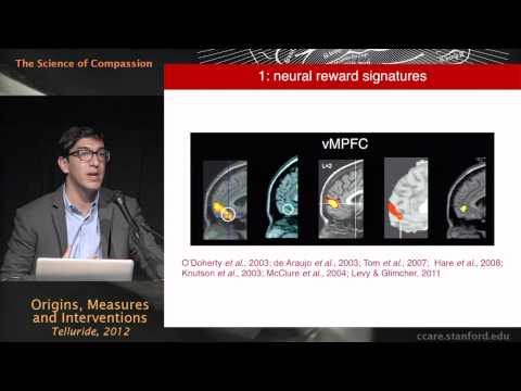 The Science of Compassion: Origins, Measures, and Interventions - Jamil Zaki, Ph.D.