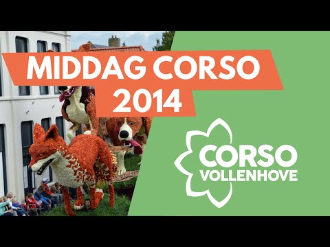 YouTube thumbnail Corso 2014