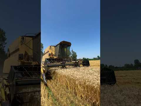 🟡TX🔴 #newholland