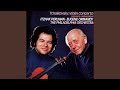 Violin Concerto in D Major, Op. 35: I. Allegro moderato