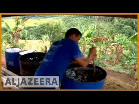 🇨🇴 Cocaine the only choice for some Colombia farmers | Al Jazeera English