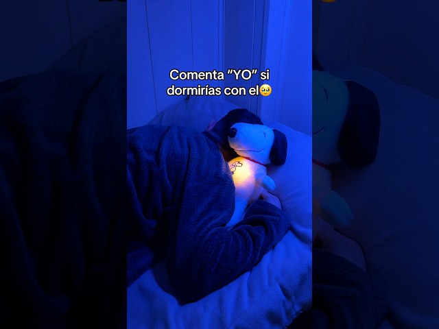 Vídeo relacionado con Peluche de Cerebro Relleno, Llavero de Peluche de Cerebro - Bola para apretar el Cerebro | Divertida Bola para apretar el Cerebro, Juguete de Peluche magnético , muñeco de Peluche y Lindo p
