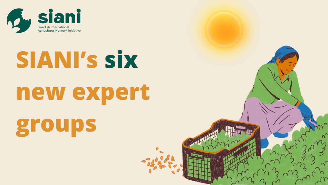 SIANI's six new expert groups | SIANI