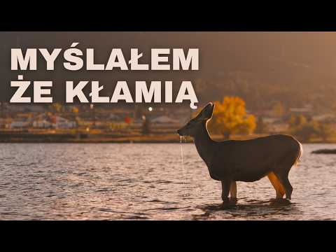 Estes Park, Góry Skaliste | Zakładałem, że to zwykła ŚCIEMA