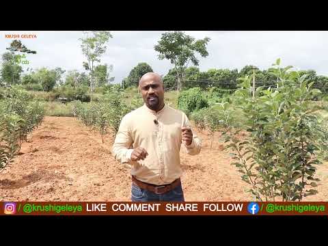 Bharat Berries video 6