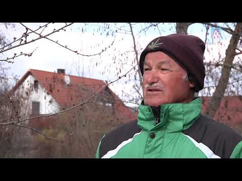 81-jähriger E-Fahrrad-Postbote aus Freystadt