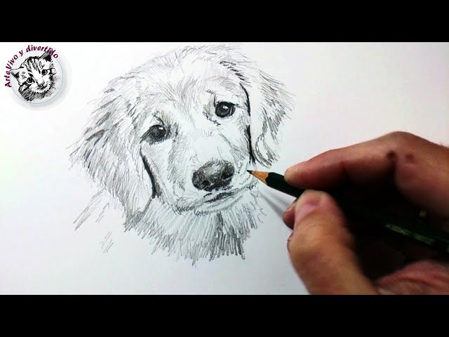 Vídeo relacionado con Aprende a dibujar animales paso a paso (Aprende a dibujar paso a paso)