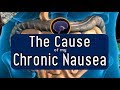 The Cause of my Mysterious Chronic Nausea | ALifeLearned
