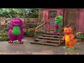 Barney Growing