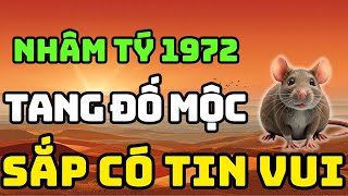 Tuổi Nhâm Tý 1972 Là Người Có Phúc Có Phần, Về Già Hưởng Lộc Tổ Tiên Nếu Biết Sớm 8 Điều Này