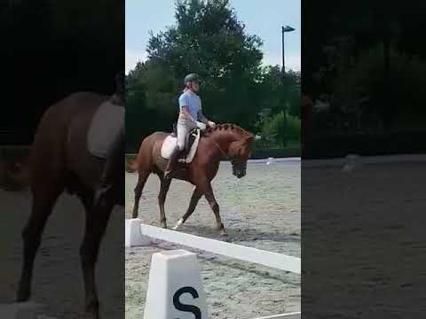 Macassar KA M1 Lunteren