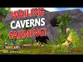 WoW Classic How To Mage AOE Boost Wailing Caverns 30 Min Level 10 20