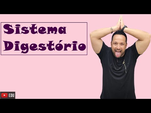 Digestive System - Functions, Stages and Components - Human Physiology - Lesson 1