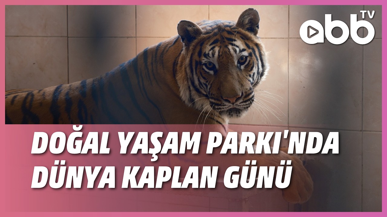DOĞAL YAŞAM PARKINDA DÜNYA KAPLAN GÜNÜ