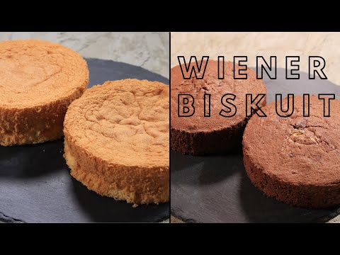 Der beste Biskuit für Torten | Wiener Biskuit hell und dunkel | Tortenboden mit Vanille und Kakao