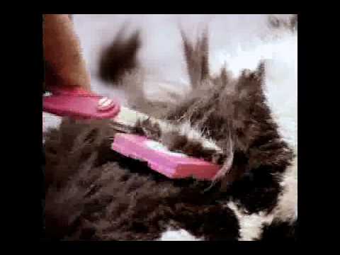 Scaredy Cut Pet Grooming Kit