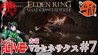 #7【ELDEN RING SHADOW OF THE ERDTREE 】人馬一体！！！VS古竜セネサクス【スケロク配信】