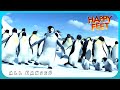 Happy Feet All Dancing Levels gc Ps2 Wii Pc