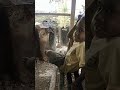 KEDEKATAN ANAK PAPUA DENGAN TNI Tni Papua Shorts