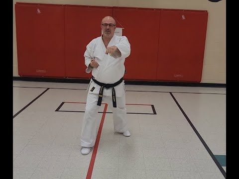 Four Direction Punch (Seikido White Belt) with step by step instructions