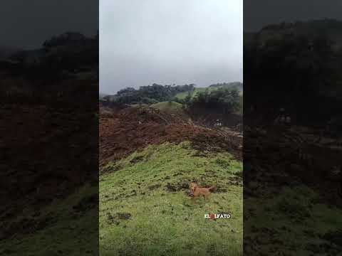 Avalancha en Villahermosa dejó una persona fallecida y dos viviendas afectadas