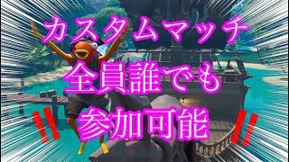 【フォートナイト】ライブ配信　参加型カスタムマッチ　誰でも大歓迎！！【カスタム】