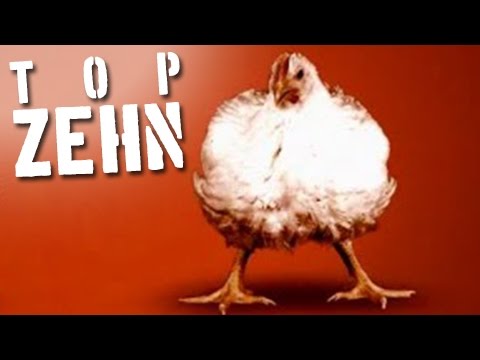 10 Fakten, die dich zum Vegetarier machen