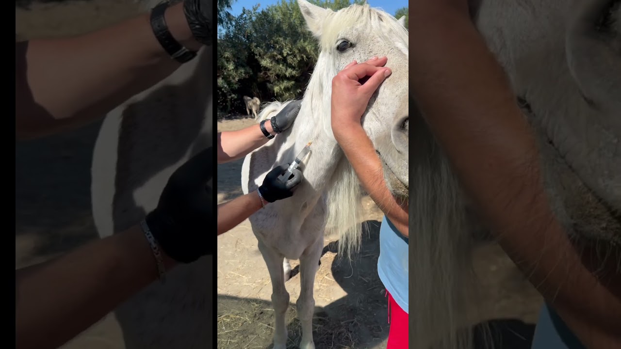 stand with Star in his hardest day video
