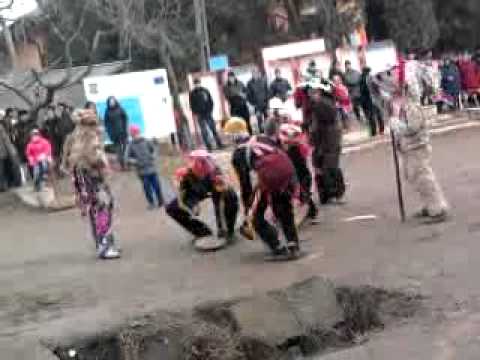 ursu din madarjac 31-12-'11