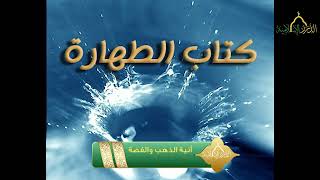 أخصر المختصرات - كتاب الطهارة - آنية الذهب والفضة، image