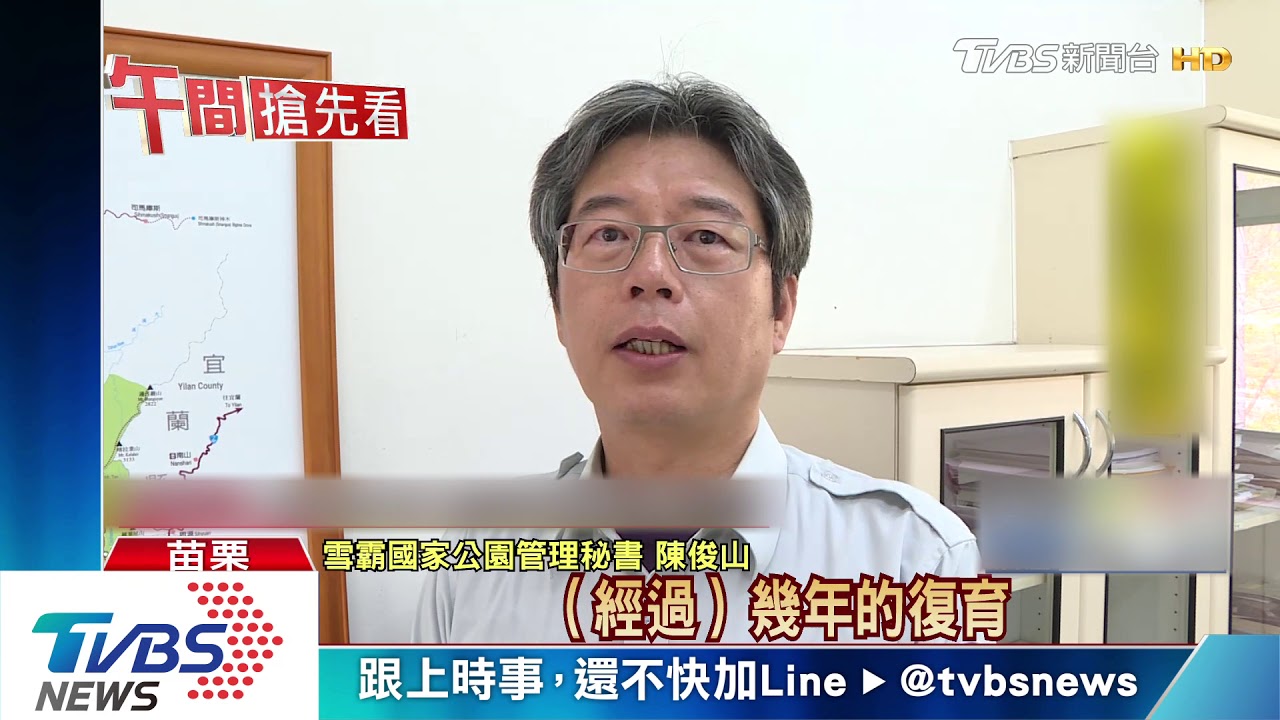 首度破萬! 櫻花鉤吻鮭野外復育成功