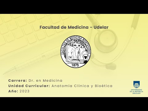 Anatomía funcional del corazón (Parte 1)