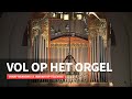 PROMO | Vol op het orgel