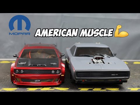 HNR Panther FTX Stinger How Big Is It?