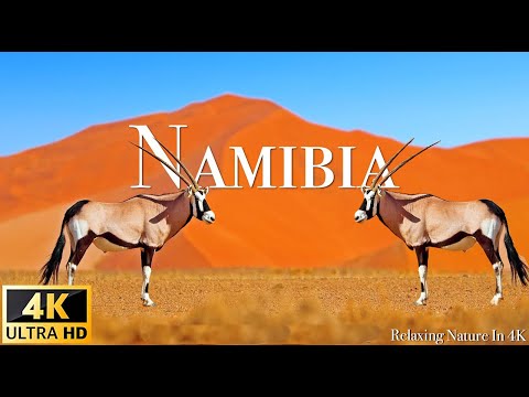 Namibia Wildlife