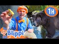 Blippi At The Zoo Feeding The Animals 1 HOUR BEST OF BLIPPI Blippi Toys