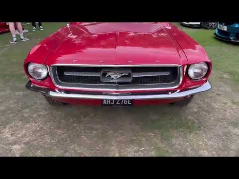 1967 Ford Mustang Coupe 6 Cylinder 200ci (3.3L) Walk Around | Exhaust Sound | Split Header/Manifold