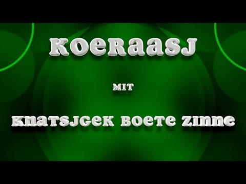 Koeraasj - Knatsjgek boete zinnen - LVK 2017