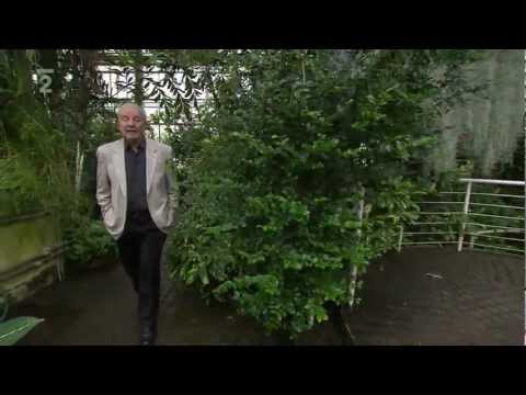 METUZALÉM; KOSTI, SVALY, KLOUBY - František Koukolík