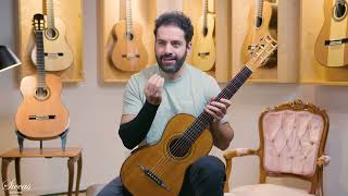 Louis Panormo - 1838 No. 2207 63 cm - Video preview