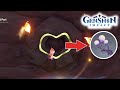 How to get Udumbara Pistils - 6 Locations - Genshin Impact 3.6