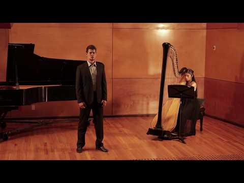 Oliver Pürckhauer and Claraliz Mora/ Die Kraehe/ Schuberts Winterreise #winterreise #schubert #harp