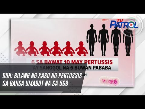 DOH: Bilang ng kaso ng pertussis sa bansa umabot na sa 568 TV Patrol