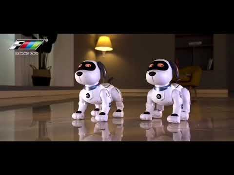 rc robot dog T2943 k16 viedo