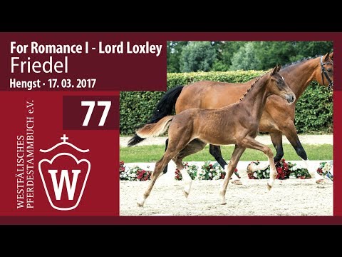 77 Friedel  Hengst v. For Romance I - Lord Loxley