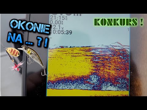 OKONIE na spinning ! SZUKAMY 40cm + ! KONKURS !