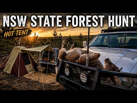 NSW State Forest Hunting