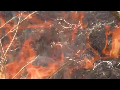 Firefighters continue to battle Archer County fire