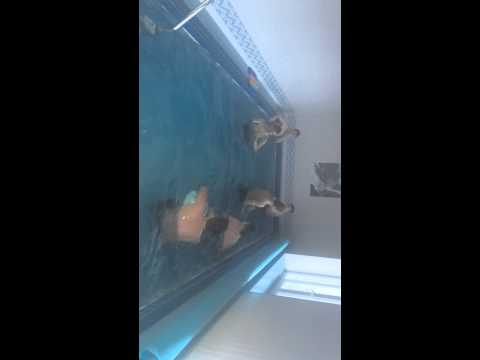 SOUSTŘEDĚNÍ 2015 - NOVOSIBIRSK - regenerace