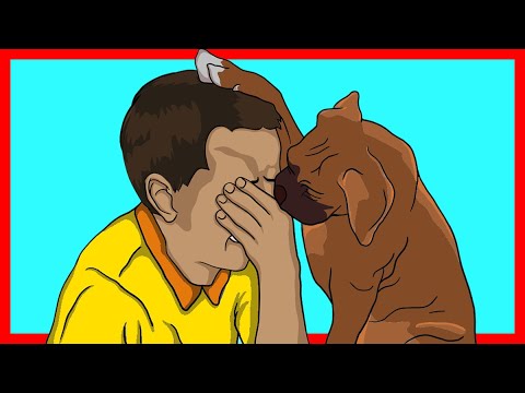 YouTube video about: How do you know if your dog trusts you?